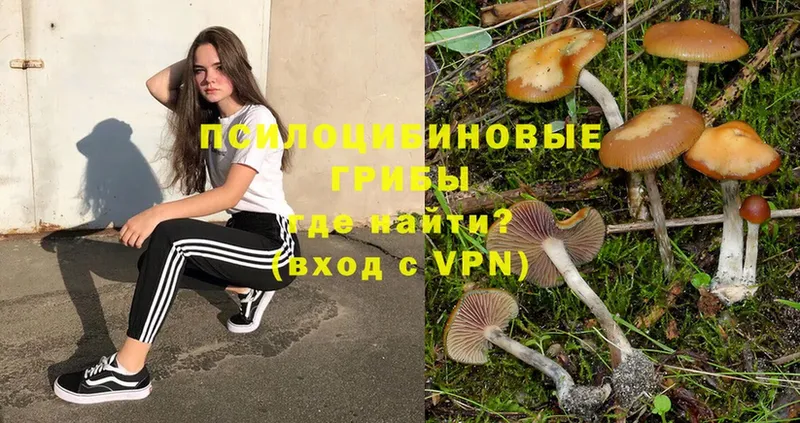 Галлюциногенные грибы Psilocybe  где купить наркоту  Лысьва 